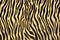 Animal texture