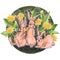 Animal three hares rabbit illustration cartoon