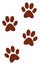 Animal traces, illustration, vector