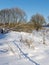 Animal traces in snowy field