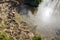 Animal tracks on the edge of muddy pond - 1