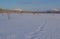 Animal tracks in the snow