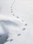 Animal tracks on white snow