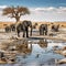 Animal trafic on muddy waterhole in Etosha