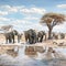 Animal trafic on muddy waterhole in Etosha