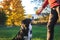 Animal trainer playing with dog outdoors