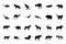 Animal Vector Icons 2