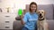 Animal volunteer with funny labrador dog showing green screen phone, charity app