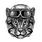 Animal wearing aviator helmet with glasses. Vector picture. Wild cat Fishing cat Hand drawn image for tattoo, emblem