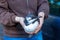 Animal welfare volunteer treats sick or injured guillemot seabird