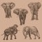 Animal Wildlife African Bush Elephant Overlapping Vector Style Set