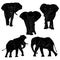Animal Wildlife African Bush Elephant Silhouette Set Ver2