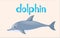 Animal wordcard for wild dolphin