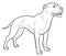 In the animal world. Image of a dog. Black and white drawing, coloring.