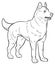 In the animal world. Image of a dog. Black and white drawing, coloring.