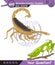 Animal world, insects, vector, eps, new generation question template, for teacher,