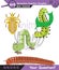 Animal world, insects, vector, eps, new generation question template, for teacher,