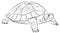 In the animal world. Turtle image. Black and white drawing, coloring.