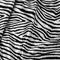 Animal zebra skin