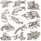 Animals in action, Predators - An hand drawn full sized illustrations. Collection on white.