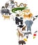 Animals Africa - vector illustration isolated