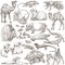 Animals around the World. Freehand sketches, pack