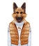 Animals as a human. German Shepherd in down vest and sweater.