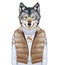 Animals as a human. Wolf in down vest and sweater.