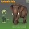 Animals of Asia Indian elephant