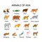 Animals of Asia on a white background.Flat cartoon