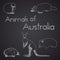 Animals of Australia on chalkboard. Part 1