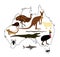 Animals from Australia vector illustration collection