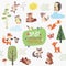 animals baby forest pictures