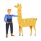 Animals breeding o n farm, male with llama