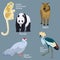 Animals of China in simple design