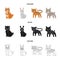 Animals, domestic, wild and other web icon in cartoon,black,outline style. Zoo, toys, children, icons in set collection.