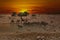 Animals in Etosha National Park at the waterhole