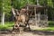 Animals feeder in forest