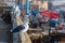 Animals in the fishing port of Essaouira