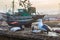 Animals in the fishing port of Essaouira