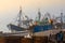 Animals in the fishing port of Essaouira