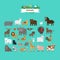 Animals flat design vector icons