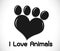 Animals Foot paw prints