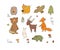 Animals of the forest. Set with cute cartoon bears, fox, hare and squirrel, owl and deer. Design for children - Vector