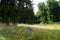 Animals Gute sheep, Ovis aries, graze in a meadow in Park Sanssouci. Potsdam, Germany