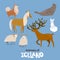 Animals of Iceland in flat modern style design.