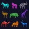 Animals low poly vector