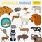 Animals mammals icon set. Vector flat style