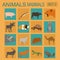 Animals mammals icon set. Vector flat style