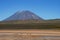 Animals before the Misty volcano in Peru